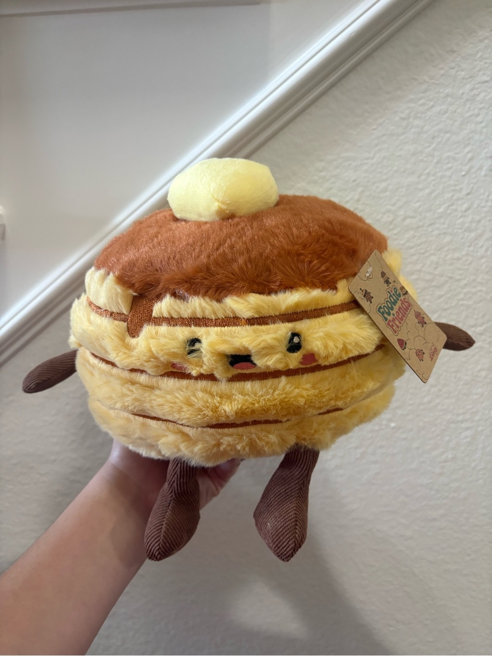 NWT Food Buddy Pancakes